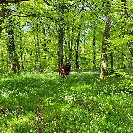 Maison Chaleureuse Avec Jardin - Pause Normande Sées 외부 사진