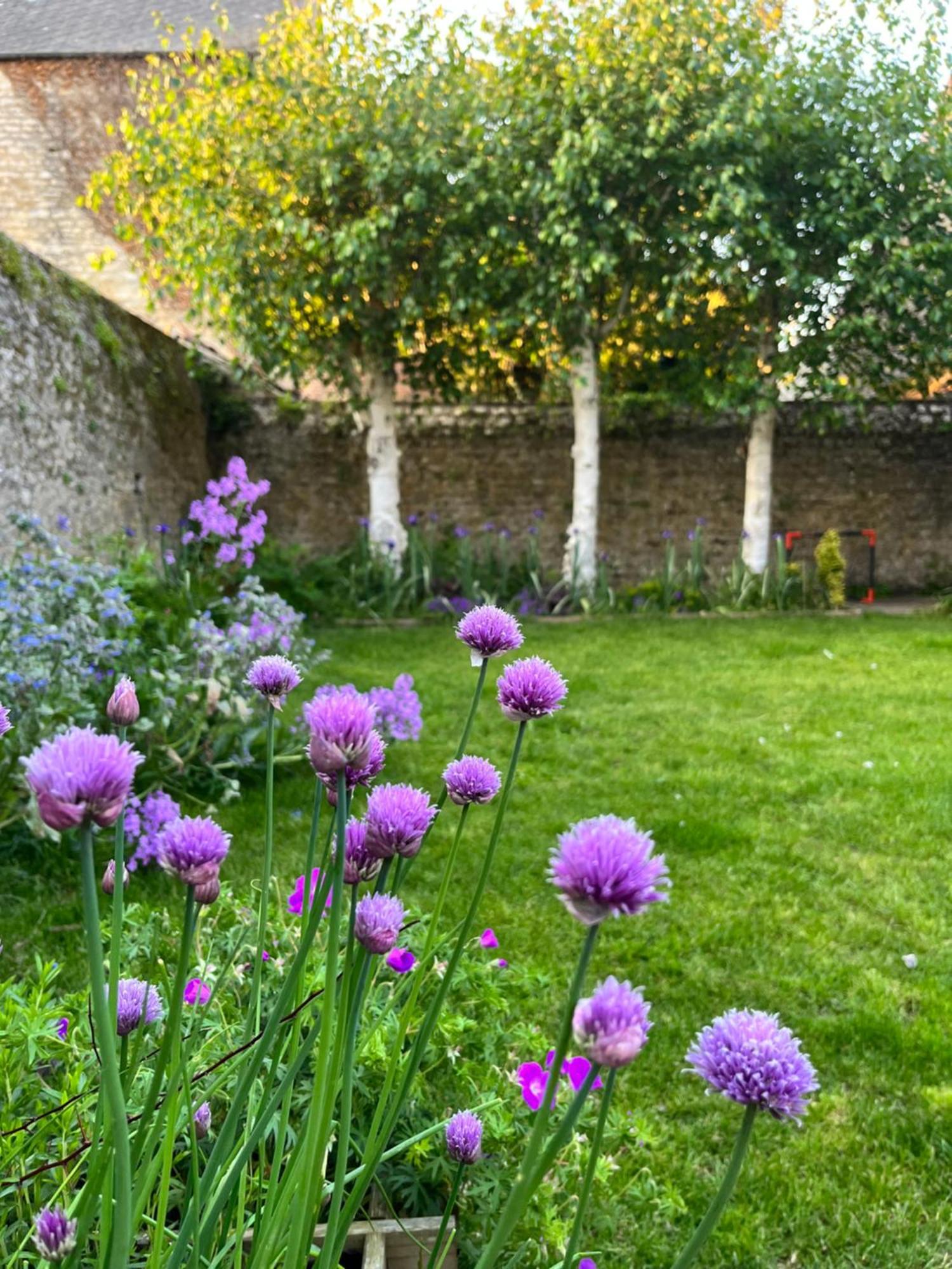 Maison Chaleureuse Avec Jardin - Pause Normande Sées 외부 사진