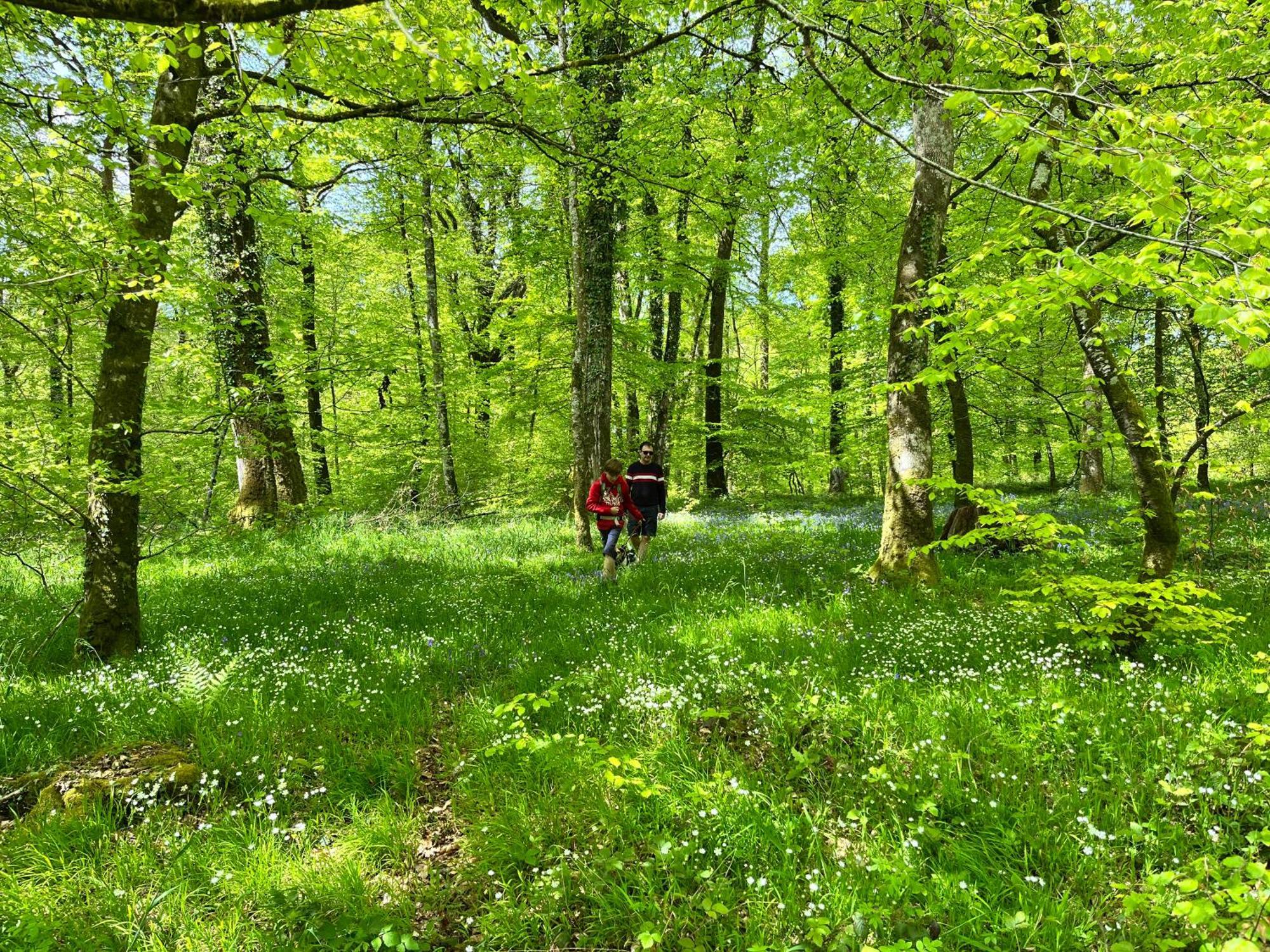 Maison Chaleureuse Avec Jardin - Pause Normande Sées 외부 사진
